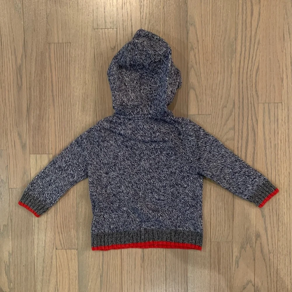 GAP Hooded Sweater